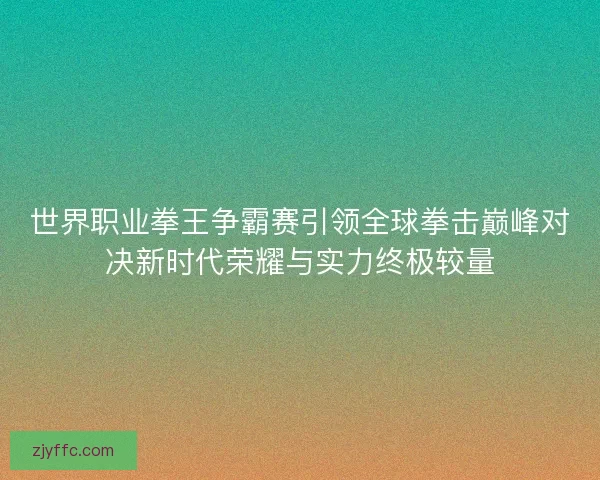 世界职业拳王争霸赛引领全球拳击巅峰对决新时代荣耀与实力终极较量